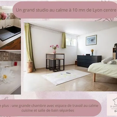 L'olivier Lyon - Eurexpo - Ldlc Arena - Groupama Stadium - Eurexpo - 15mn Lyon Apartment